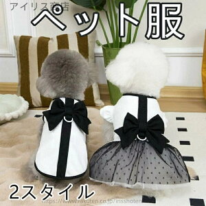 yzybg  s[X tďH~ ybgphX ^ ^ Lp hbOEFA vZX Pl  t [X `[