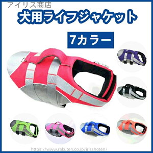 yzpCtWPbg ybgp~  v~Af ˃e[vt E\ K Ă̐V C  v[ AEghAp