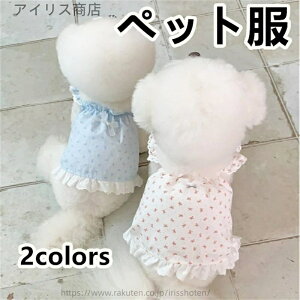 yzybg  ʋC efB rVt[[ q L  t   K hbOEFA ybgEFA ^p ^p