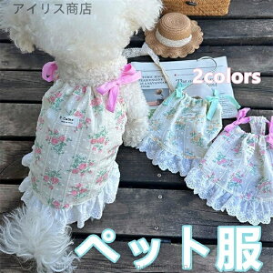 yzybg  p xXg  ^ }`[Y ` gCv[h N[ ĕ hJ ԕ  fUC  m[X[u