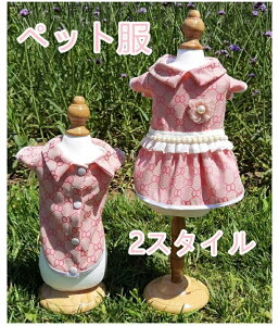 yzybg  vZX XJ[g Vc ^ q  L ʋC  s[X  hX efB [X ւ  U