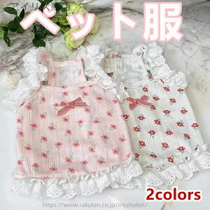 yzybg  ԕ hX t  H s[X [X t {t  Ȃ ʋC K ^ ^ L q 