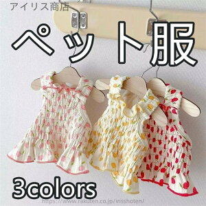 yzybg păTXy_[XJ[g efBLp vZX xXgXJ[g bh CG[ sN t@bViu y ʋCQ