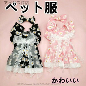 yzybg t   XJ[g  ^p K _炩  lC y U LɂœK `F[ hX