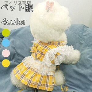 yzybg   킢 vZX hX lN^C ^ m ߑ tHp Oh[ efBxA R[M[