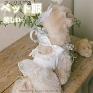 yzybg ̎qs[X hX vZX I[KW[ { t Rbguh phX ^ ^ zCg tĕ