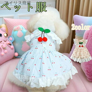 yzybg   ^ hX t  [X t XJ[g ʋCQ o p[eB[ ʐ^Be  LɂœK