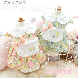 yzybg s[X tďH~ ^ ^ phbOEFA  Gv[ ^hXO₷t Lm