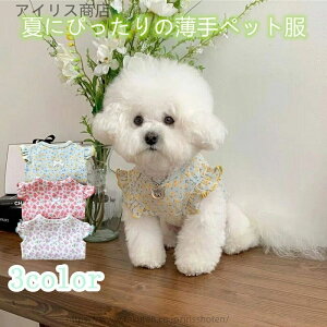 yzybg  ԕ t t  p[X  ₷ N[  ^ ^ Lp ̎q j̎q  UVJbg ėp