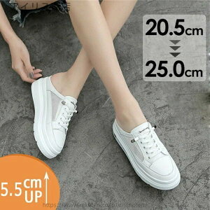 yzr JWA V[Y E₷ ₷ Xj[J[T_ T{T_ i zCg TCY ƂȂ