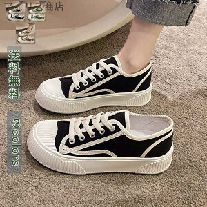 yzItBX AEghA 킢  zCg  _ ʋC Sn ɂȂ r t@bV pI H t A