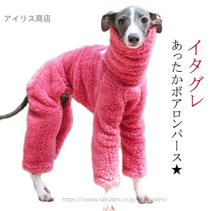 yzC^O  L C^A I[C 2XL EBybg {Ap[X C^O 3XL Ȃ M fJO fJs xhgeA XL S hbOEFA 