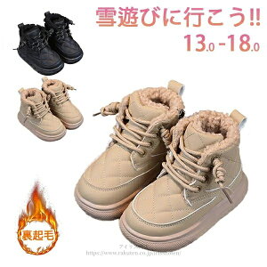 yzLbY Xm[u[c ̎q j̎q qC qp K[Y N EC^[V[Y C ȌC ~p ʊw h ۉ V