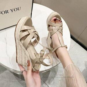 yzT_ T}[u[c@u[cT_ EFbWT_ fB[X 10cmq[@ EFbW\[ ɂȂ