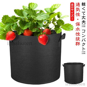 yzsDzv^[ 5 S5TCY  Aؔ A z 񂹐A Jo[ t A ͔| 񂹐A 