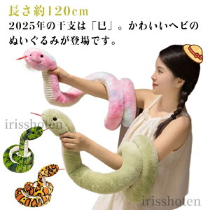 yzւ ʂ 120cm x   xʂ A wr  NbV 킢 N u l` 2025 N