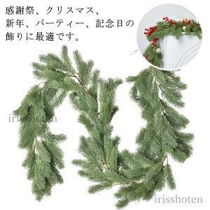 yzNX}X K[h ACr[ G ̐j qmL lH ΐA Diy ԗ ̗t[ NX}X ̑