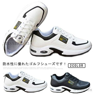 yzStV[Y Y h Xj[J[ XpCNXV[Y  y Stp V[Y jOV[Y