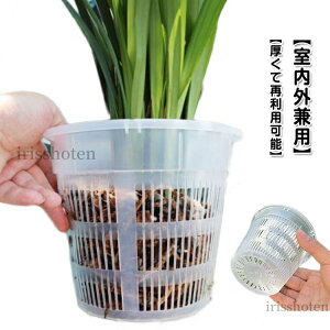 yza11cm ϗtA ̔ 20ZbgIvX`bN O I[Lbh|bg a16cm Aؔ A m Ӓ Aؔ