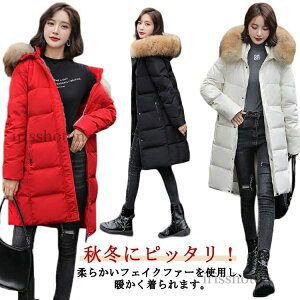 yz_EWPbg fB[X OR[g x`R[g _ER[g ȃWPbg t@[t t[ht g h