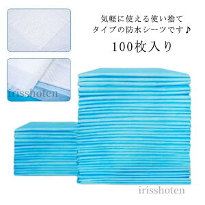 yzĝ hV[c 100 ĝ ˂V[c 60×90cm zc ˂΍ ~pbh hpbh pV[c