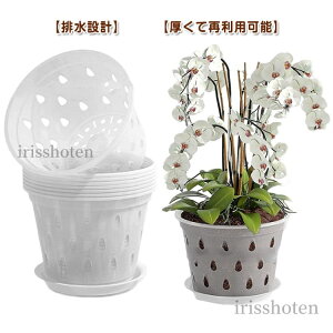 yz gCt Aؔ a12.5cm  v^[ a15cm a17.2cm Ӓ ̔ A m a11cm Aؔ