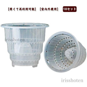 yzAؔ Ӓp ϗtA̔ ^ a10cm vX`bN a15cm  10ZbgI̔ Ӓp h~