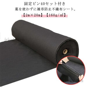 yzGh~ Gh~  hV[g Œs40Zbgt x160G V[g sDz UVܓ V[g h e 悯