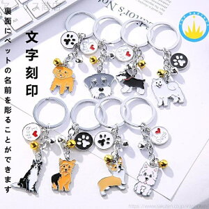 yz̃L[z_[ ybǧ L[z_[ ACfA Xgbv ybg IWi L[z_[ LOi I[_[Ch ybg IWi L[z_[ yʂɃ