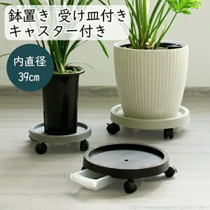 yzx_ A ړ֗  v^[ bN\ Xgbp[@\t 360°] u LX^[t L[u ԑ