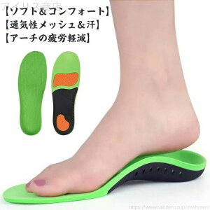 yzV[Nbg y܂ Xr ᔽ ^ T|[g 22.5cm Or X|[c ~ ␳  ɂ nCA[` Ռz