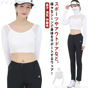 Ci[Vc ĕ A_[Vc fB[X  StVc UVJbg ڐG⊴  z StEFA Ăh~