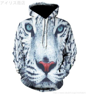 Y S`5XL t[ht JWA 傫TCY  3DfW^ lR IV  p[J[ gbvX