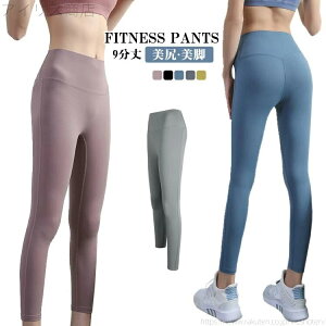 z W pc tBbglX g[jO fB[X Kpc KMX nCEGXg r K MX 9