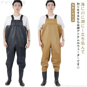 C Y ނ h CEGA tC fB[X EF[_[ ~ h `FXgnCEF[_[ Sh Y