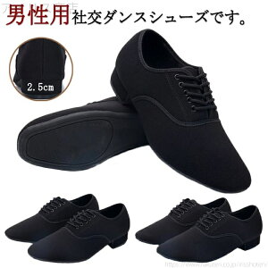 V[Y C R V[Y _X Y j j̎q s p  Op Ќ_XV[Y ubN q[2.5cm