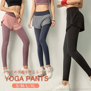 KEFA K MX Kpc V[gpct Kpc Xgb` KEFA X|[cEFA r Kpc fB[X  KEFA X|[cEFA