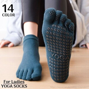 K\bNX 5{w fB[X C ~ V[g Ԃ tBbglX W seBX ʋC z Xgb`