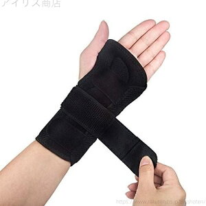  T|[^[  Œ ʋCT|[^[ ی P 荪ǏǌQ F≊  T|[^[ y2A~v[g ߉\ t[TCY jp  E