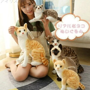【送料無料】ギフト キッズ 子ども ネコ そっくり 本物 ねこ シャム猫 ペット 茶トラ猫 タヌキ猫 シャムネコ リアル ぬいぐるみ 猫