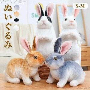 yzMtg NX}X a xr[   8type   ̎q q ETM 킢 ʂ