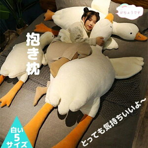 yz}N q ܂ 킢  ̎q 傤 A Mtg a v[g CeA Q  