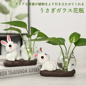 yzCeA ANZg  KXԕr  NGCeBu Aؔ  u