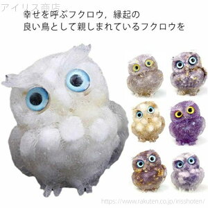 yz  e[u J^ N  VN CeA J^ObY I[ig }XRbg ӂ낤 u tNE