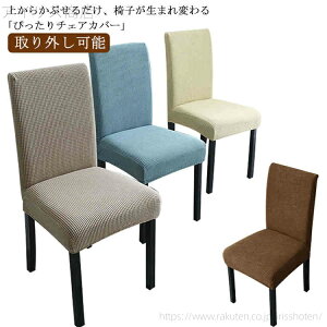 yz_CjO  CX ItBX `FAJo[ tJo[ ]֎qJo[ [2Zbg  O\ 