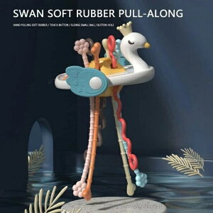 yž`̗c̗ŝ HiO[h̃VR[̐Ԃ̂ ĉ߂̊ô