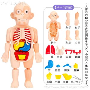 yzqǂ gݗ   ̉Uf l̉U͌^ l̉Uf{fB l̖͌^ l̃pY