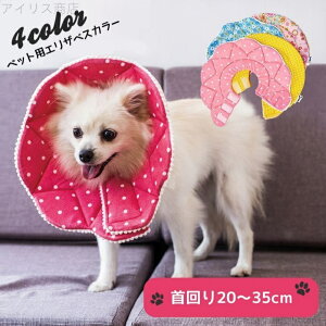 yz p }WbNe[v _炩 킢 rߖh~ ی ybgp Lbg hbO Lp p GUxXJ[