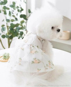 yz  ėp ĕ  m Lp Y ԕ LhX XJ[g Ls[X hbOEFA ybgm