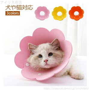 yzGUxXJ[ ybgplbJ[ IW F sN yʃ|GXe y15`36cmpz |bv Aj}lbJ[